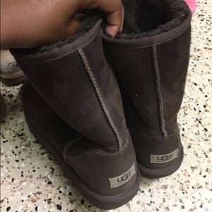 Uggs|| classic short